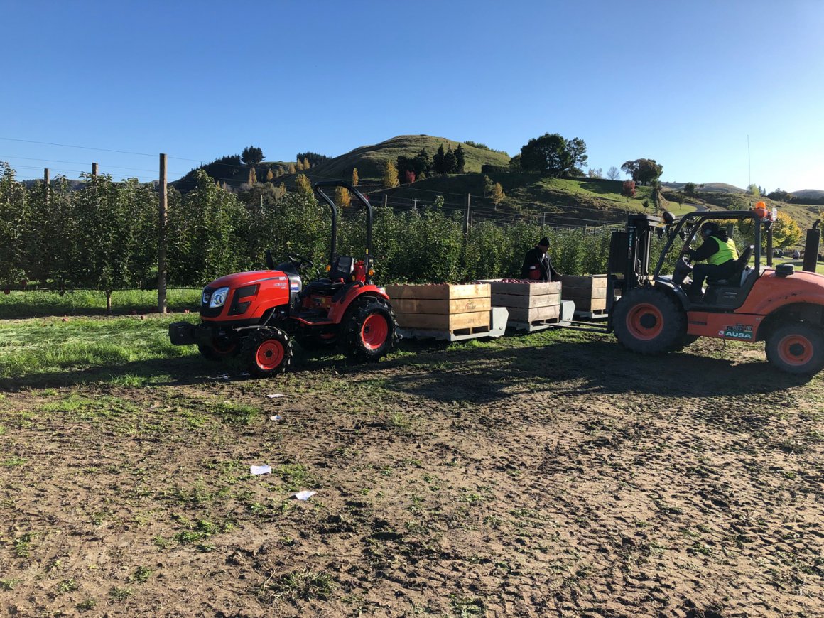 Compact Kioti - The Pick of the Crop