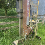 Taege Farmer Series