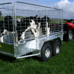 Kea Various Trailers