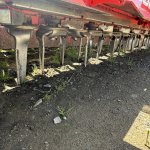 Maschio Toro